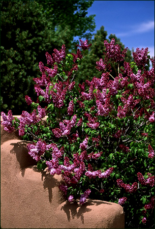 Santa Fe, New Mexico